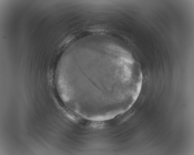 X0000080760767200701122029