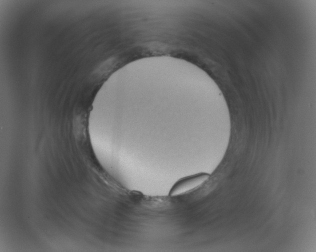 X0000080760768200701122029