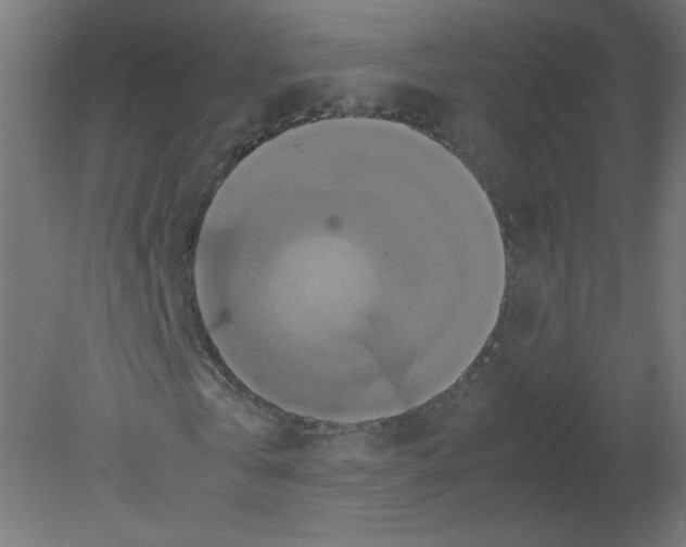 X0000080760769200701122028