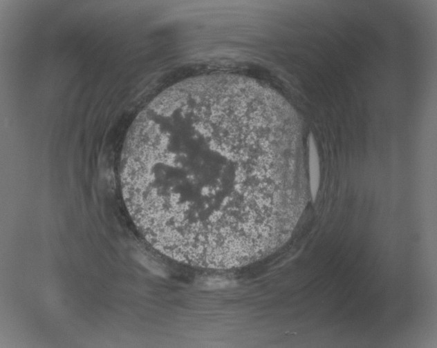 X0000080760771200701122028