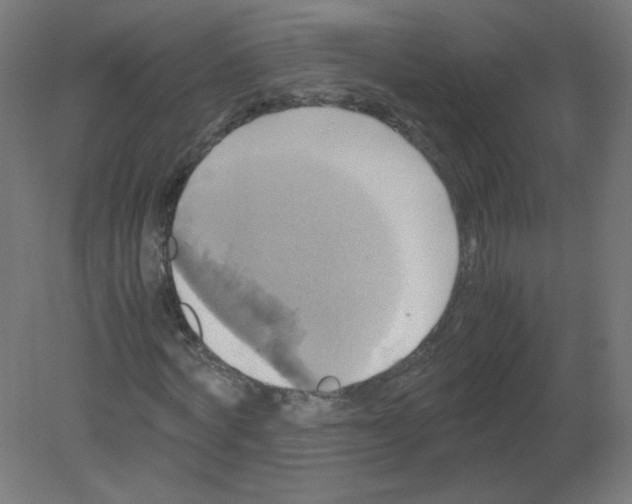 X0000080760772200701122028