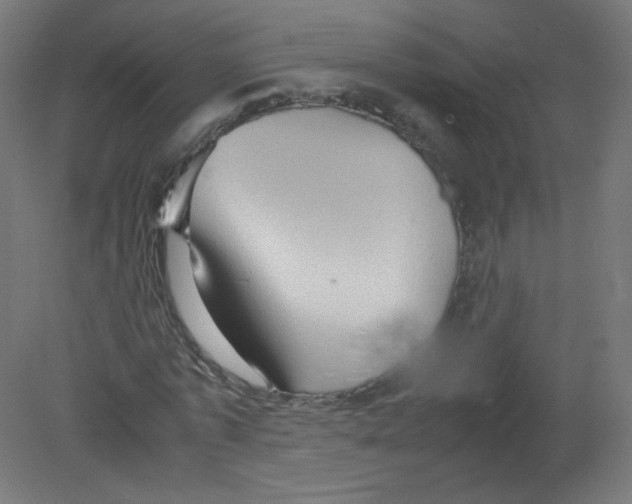 X0000080760773200701122028
