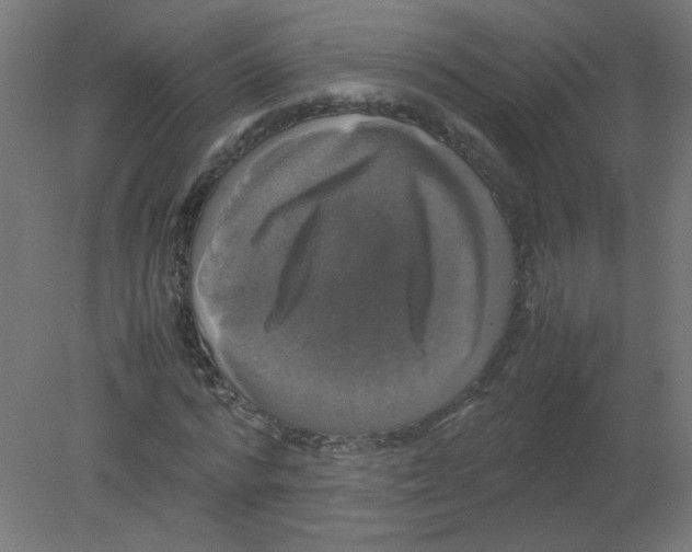 X0000080760776200701122028