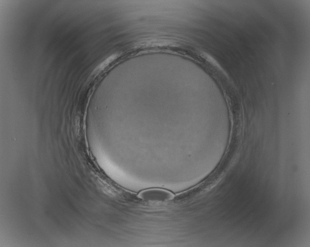 X0000080760777200701122028
