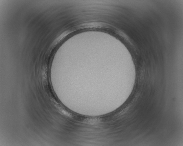 X0000080760778200701122028