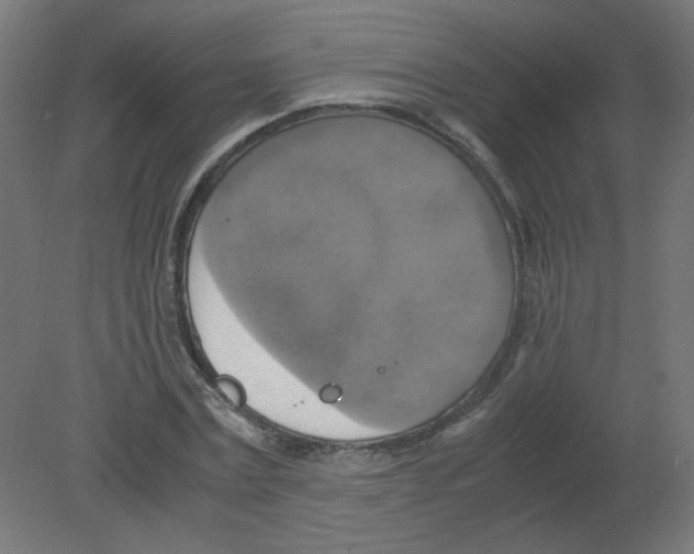 X0000080760779200701122028