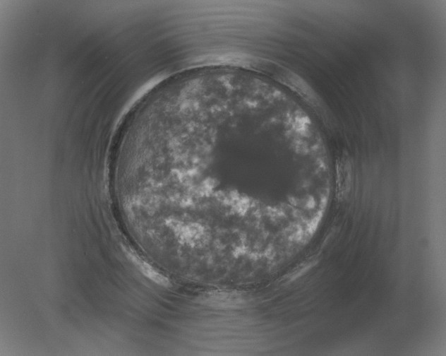X0000080760780200701122028