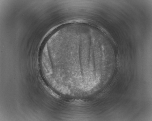 X0000080760784200701122028
