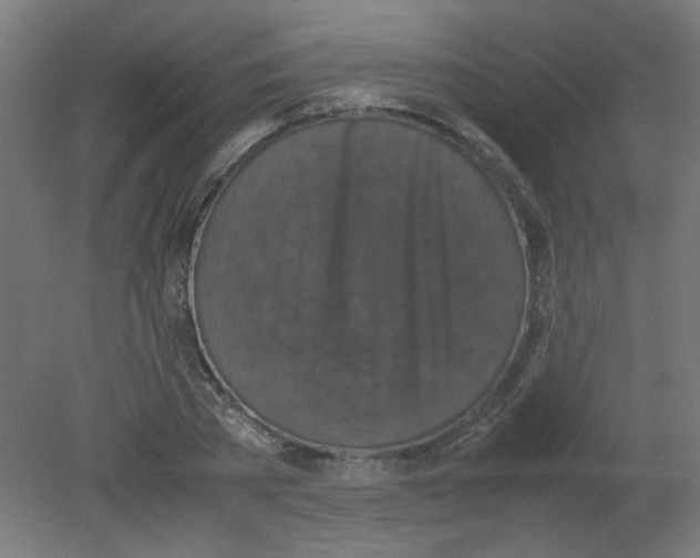 X0000080760785200701122028