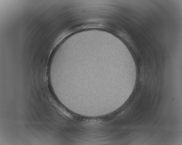 X0000080760786200701122028