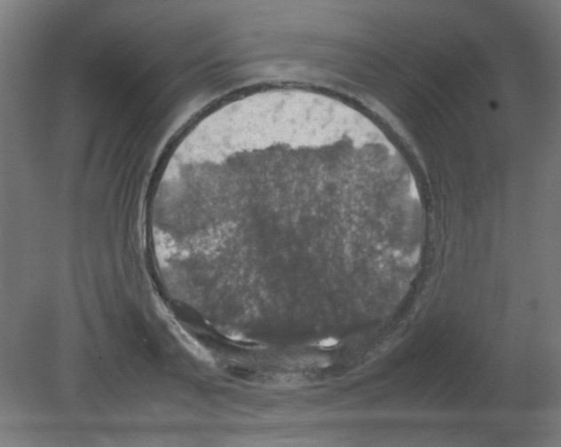 X0000080760791200701122028
