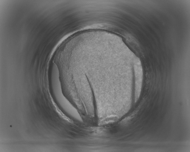 X0000080760792200701122028