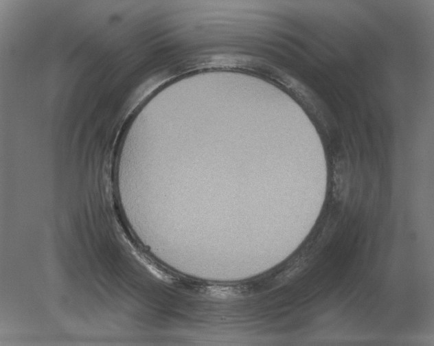 X0000080760794200701122028