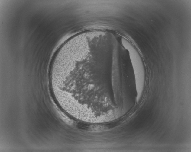 X0000080760795200701122028