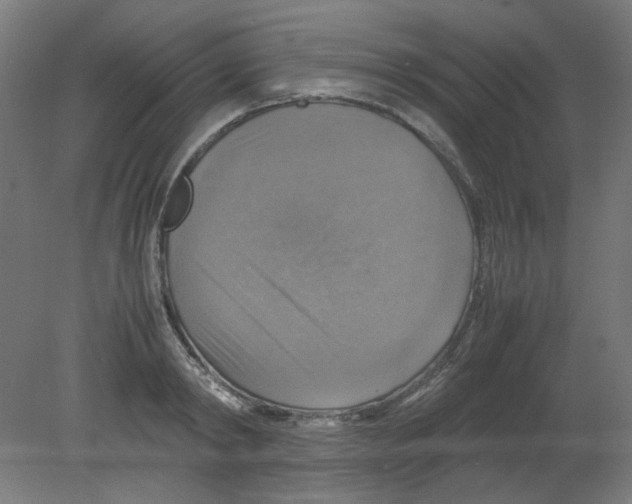 X0000080760798200701122028