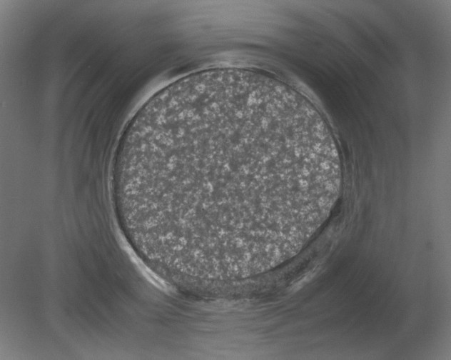 X0000080760803200701122028