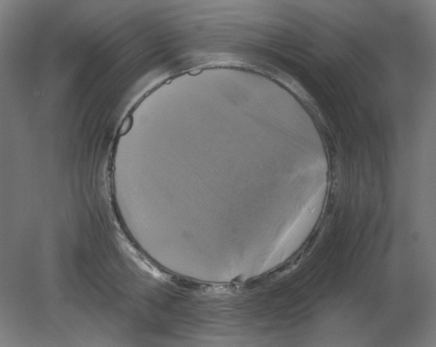 X0000080760806200701122028
