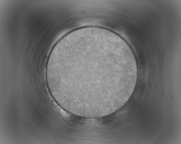 X0000080760807200701122028