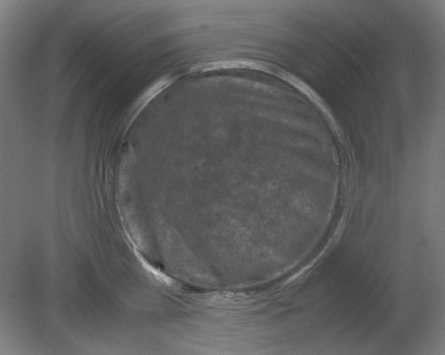 X0000080760809200701122028
