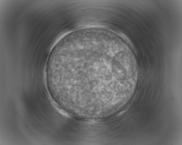 X0000080760814200701122027