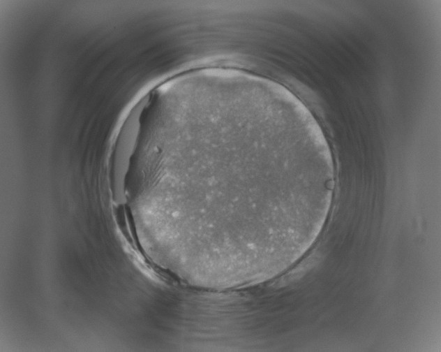 X0000080760816200701122027