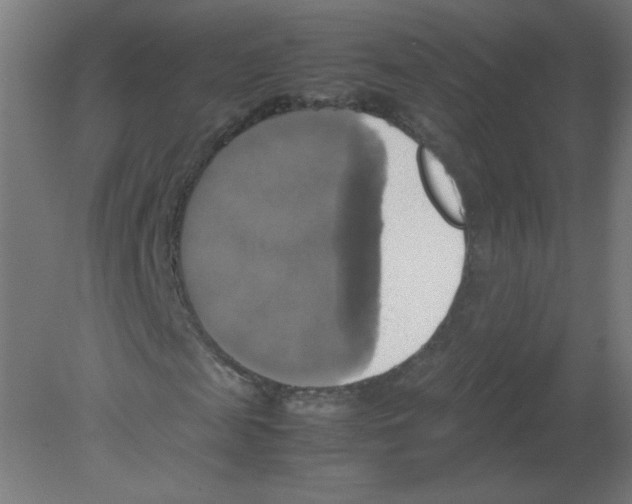 X0000080760817200701122027
