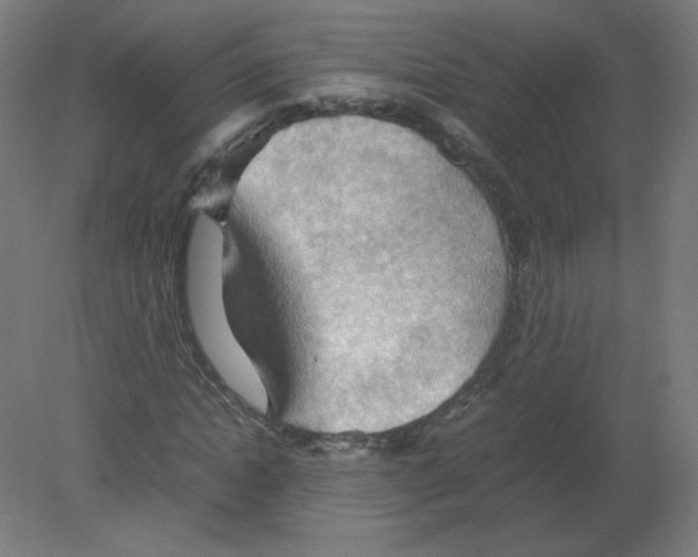 X0000080760822200701122027