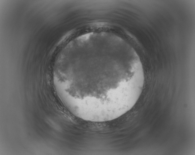 X0000080760823200701122027