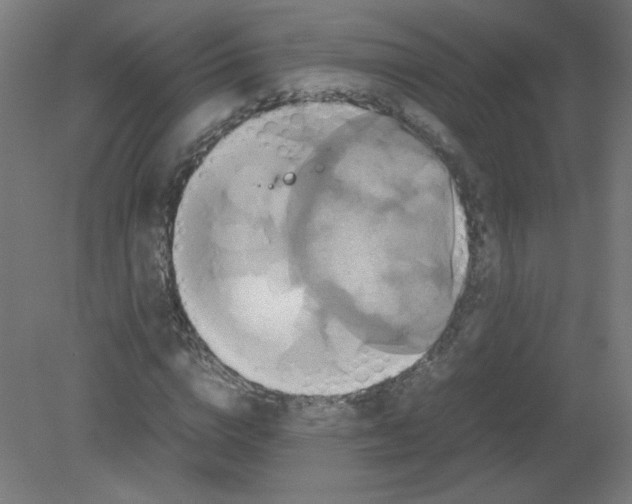 X0000080760824200701122027