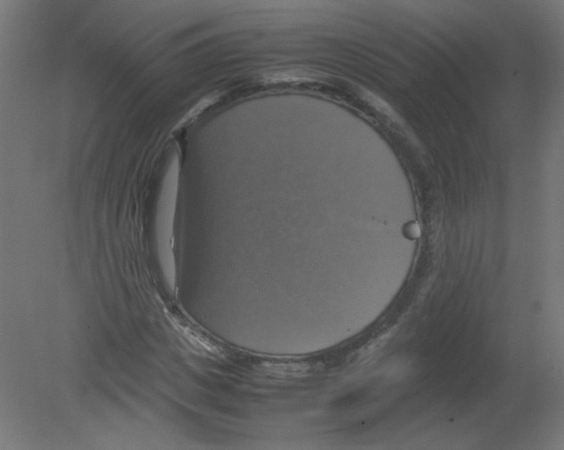 X0000080760825200701122027