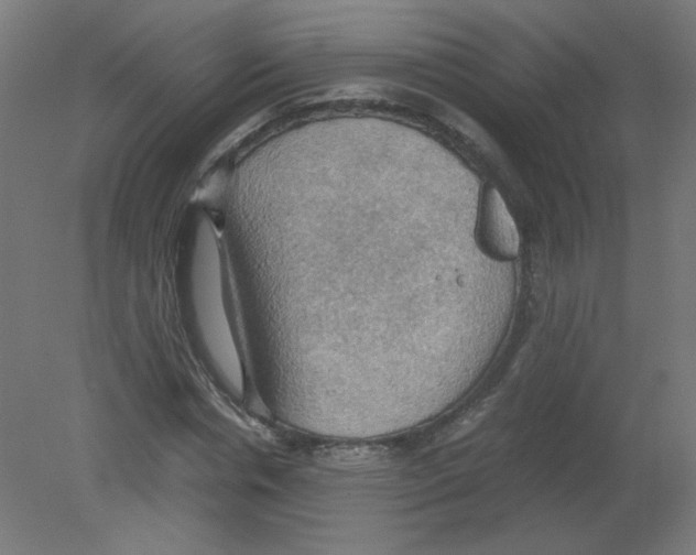 X0000080760826200701122027