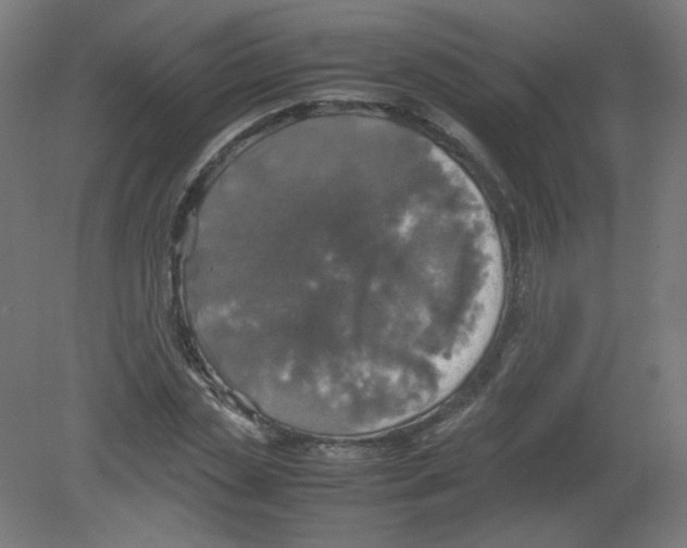 X0000080760829200701122027