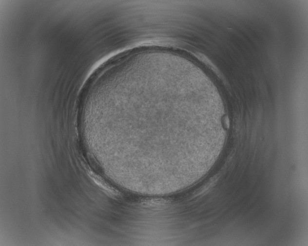 X0000080760830200701122027