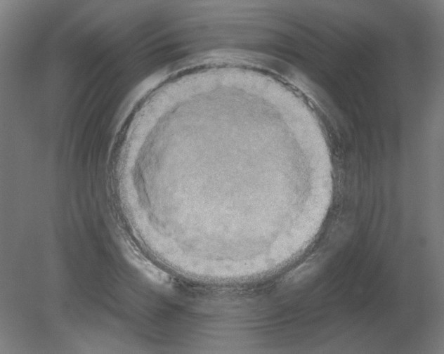 X0000080760832200701122027