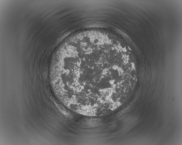 X0000080760833200701122027
