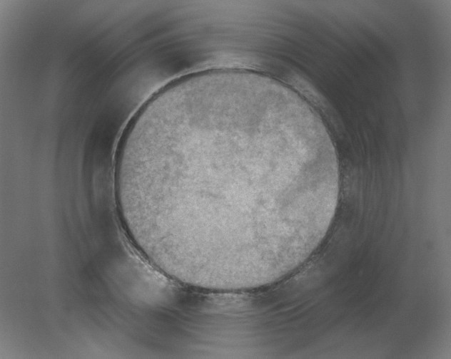 X0000080760836200701122027