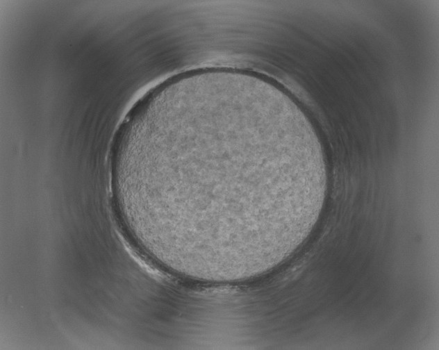 X0000080760838200701122027