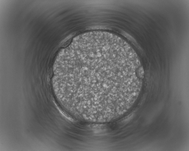X0000080760841200701122027