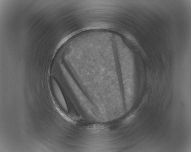 X0000080760842200701122027