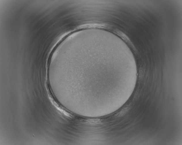 X0000080760844200701122027