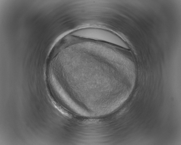 X0000080760846200701122027