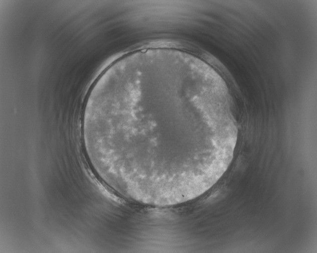 X0000080760852200701122027