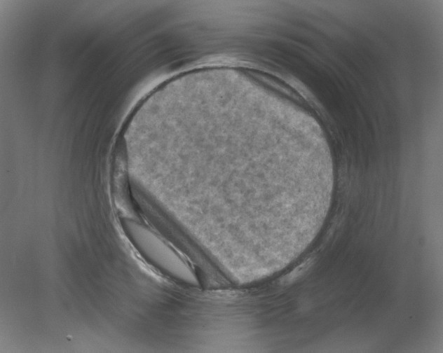 X0000080760854200701122027