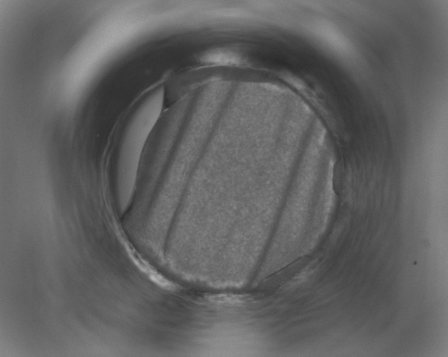 X0000080760862200701122027