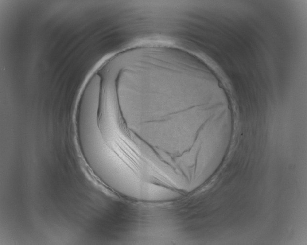 X0000080760864200701122027