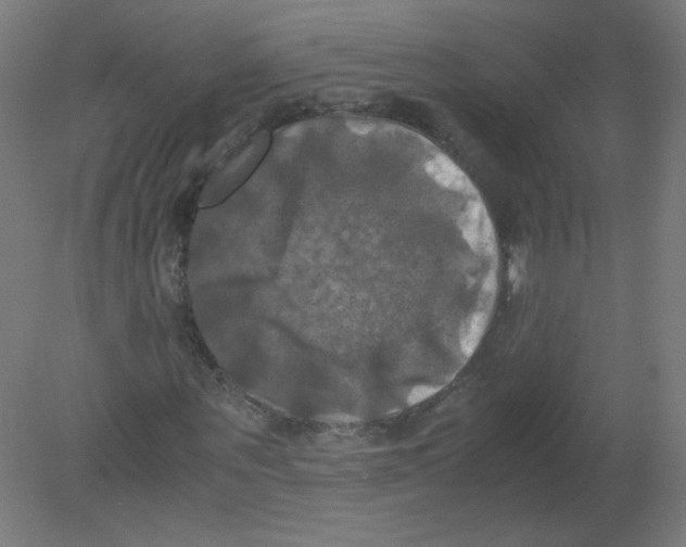 X0000080760867200701122027