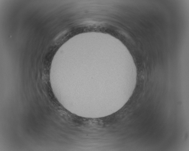 X0000080760869200701122027