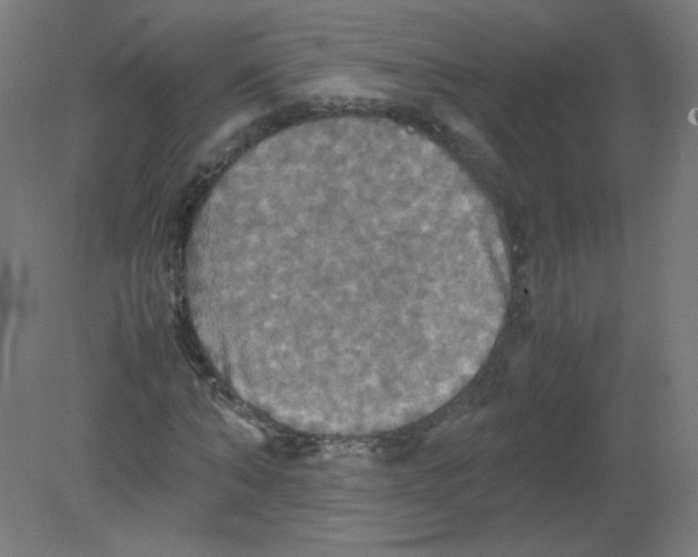 X0000080760870200701122027