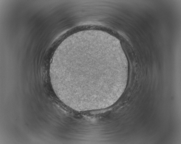 X0000080760872200701122026