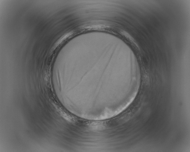 X0000080760874200701122026